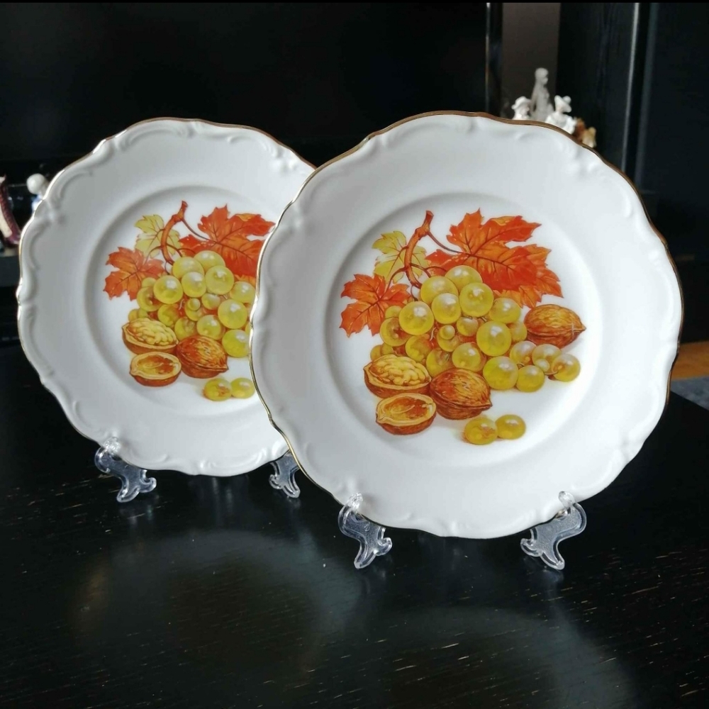 Vintage Plates Salad Fruit Dessert Lunch by Winterling Bavaria (Set of 2 plates)